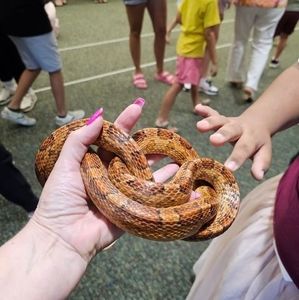 Meet your Posher, Carryl